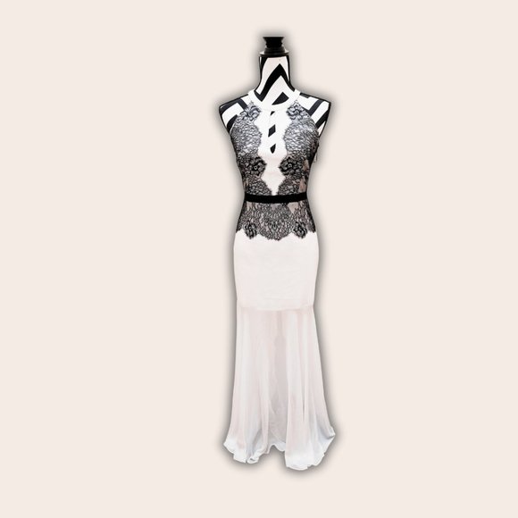 BCBG Maxazria Elegant Gown White, Lace, Sheer - Picture 2 of 5